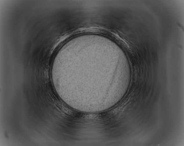 X0000097481166200803201503