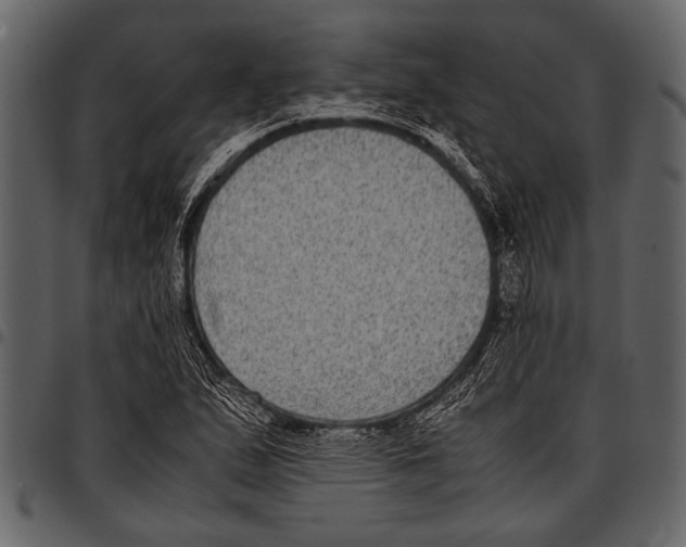 X0000097481167200803201503