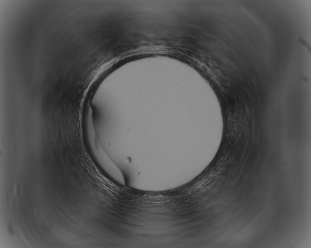 X0000097481168200803201503