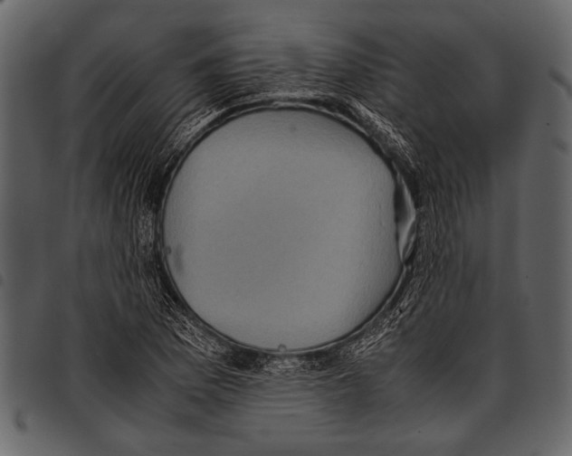 X0000097481169200803201503