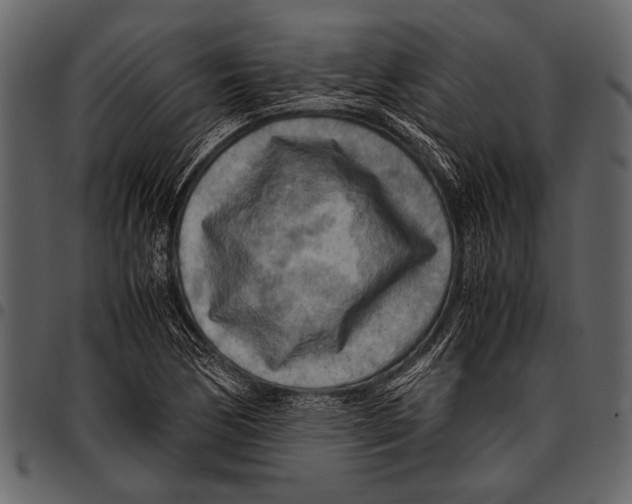 X0000097481170200803201503