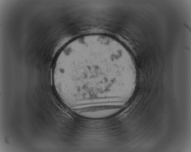 X0000097481171200803201503