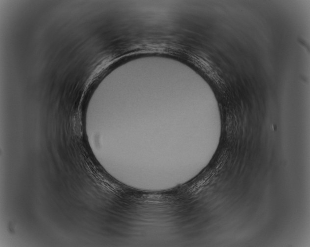 X0000097481172200803201503