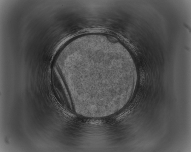 X0000097481174200803201503