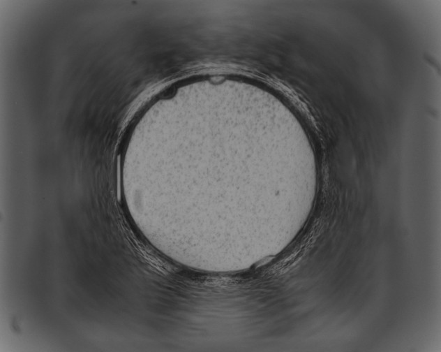 X0000097481175200803201503