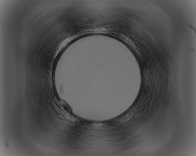 X0000097481176200803201503