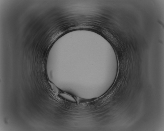 X0000097481177200803201503