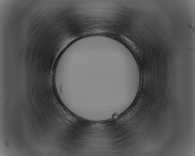 X0000097481178200803201503