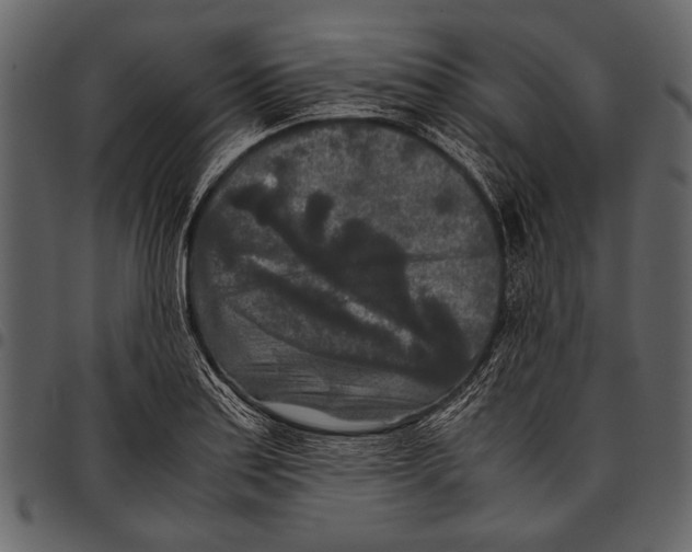 X0000097481179200803201503