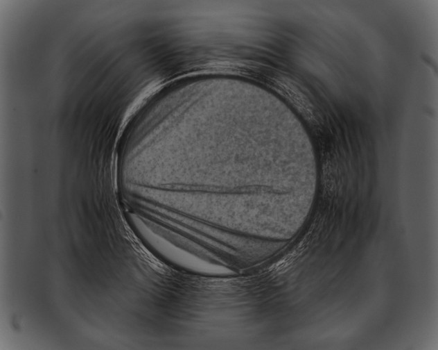 X0000097481180200803201503