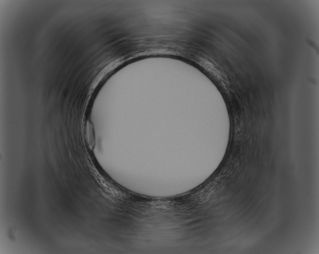 X0000097481181200803201503