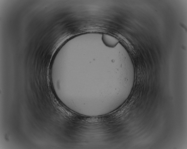 X0000097481182200803201503