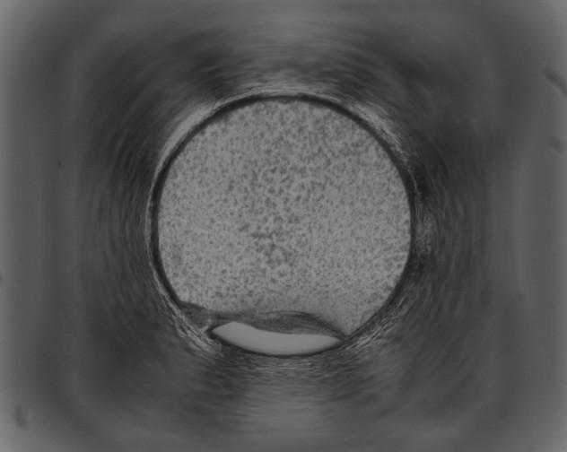 X0000097481183200803201503