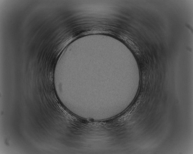 X0000097481185200803201503