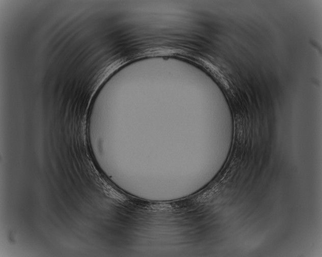 X0000097481186200803201503