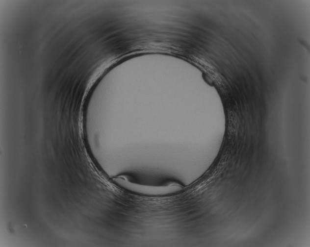 X0000097481188200803201503