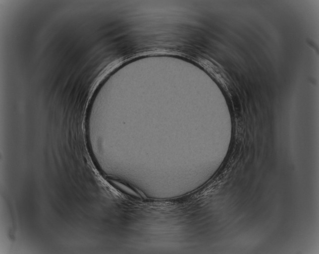 X0000097481189200803201503