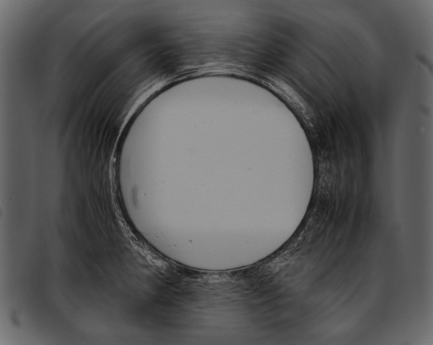 X0000097481190200803201503