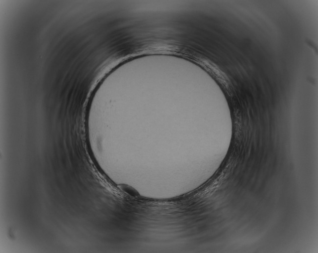 X0000097481192200803201503