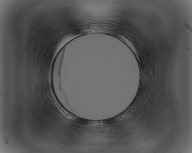 X0000097481195200803201503