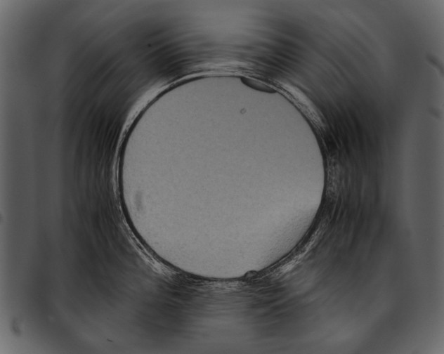 X0000097481196200803201503