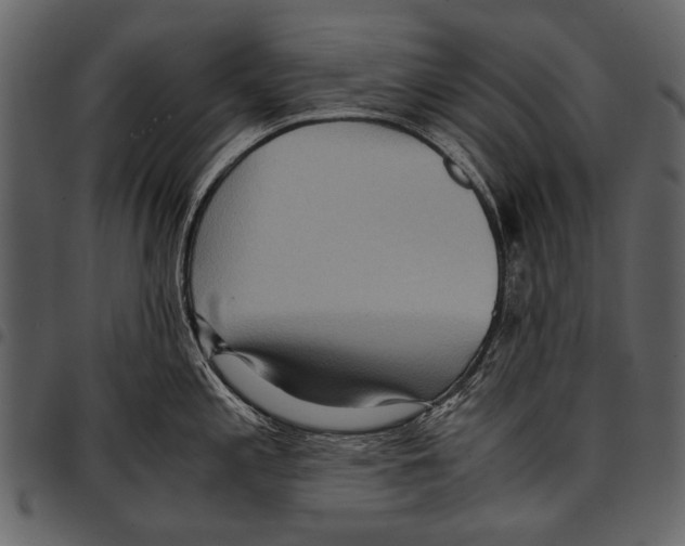 X0000097481197200803201503