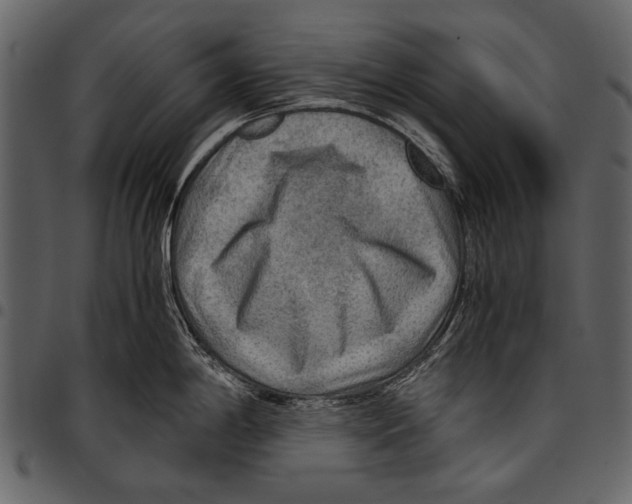 X0000097481198200803201503