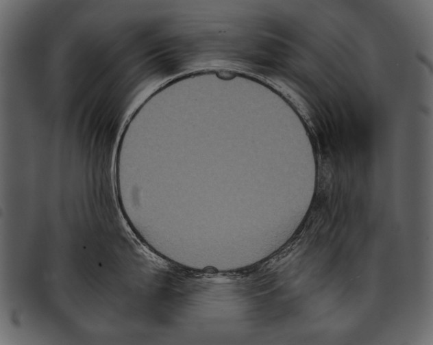 X0000097481199200803201503