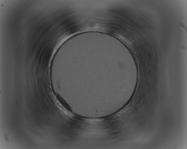 X0000097481200200803201503