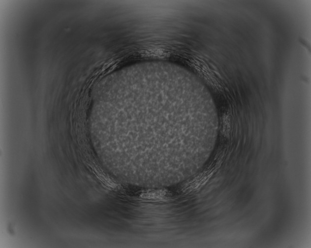 X0000097481201200803201502