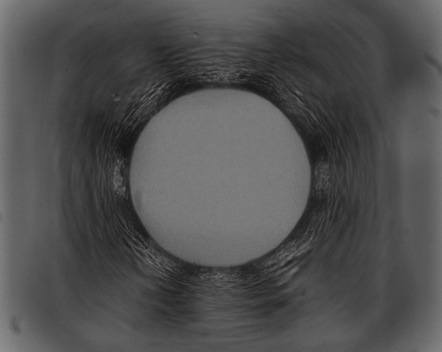 X0000097481202200803201502