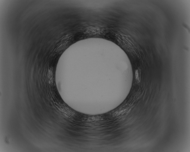 X0000097481203200803201502