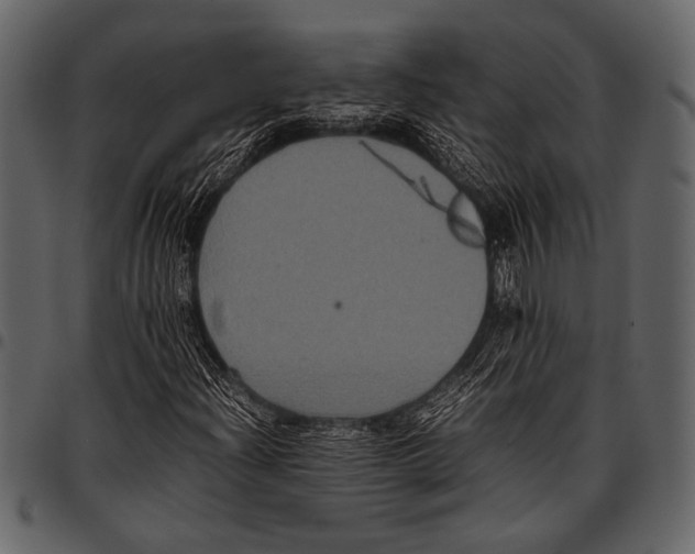 X0000097481204200803201502