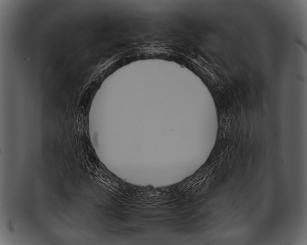 X0000097481207200803201502