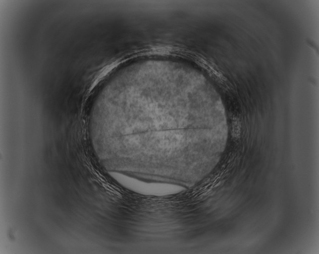 X0000097481208200803201502