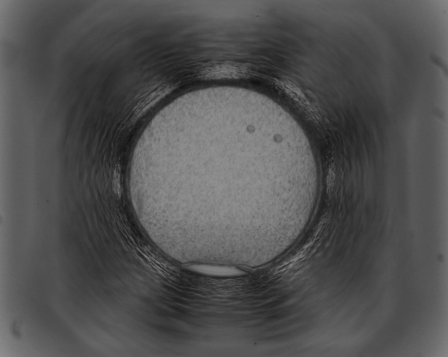 X0000097481209200803201502