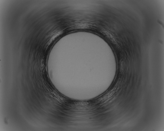 X0000097481210200803201502