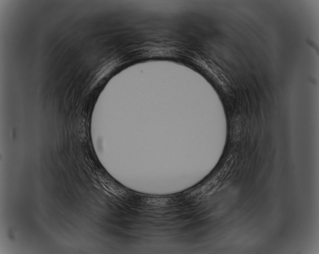 X0000097481211200803201502