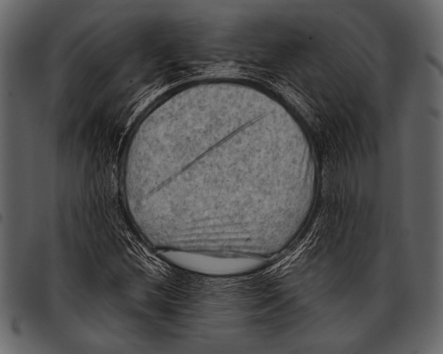 X0000097481212200803201502