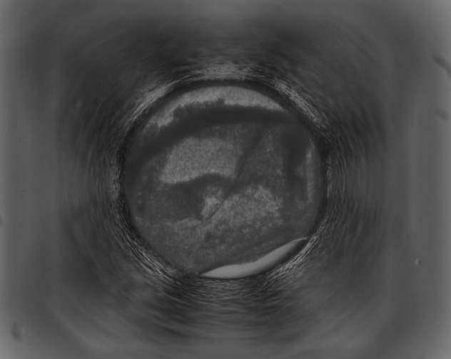 X0000097481213200803201502