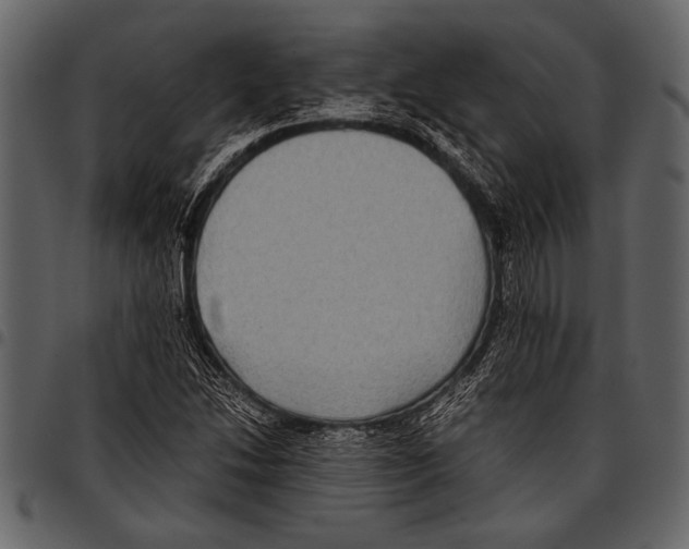 X0000097481214200803201502