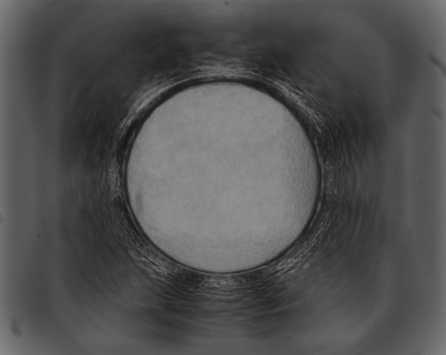 X0000097481215200803201502