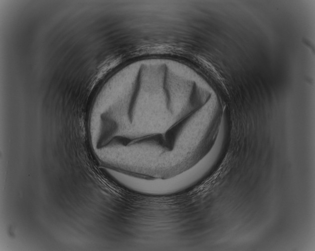 X0000097481218200803201502