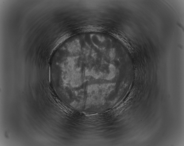 X0000097481219200803201502