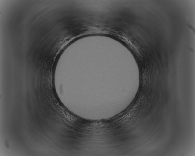 X0000097481220200803201502