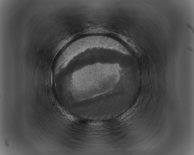 X0000097481221200803201502