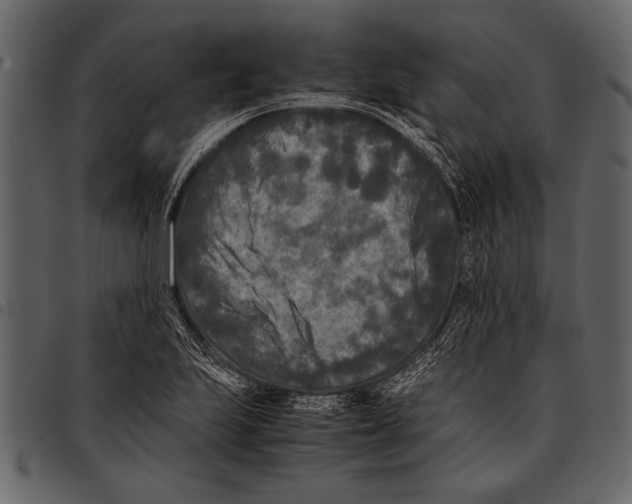 X0000097481223200803201502