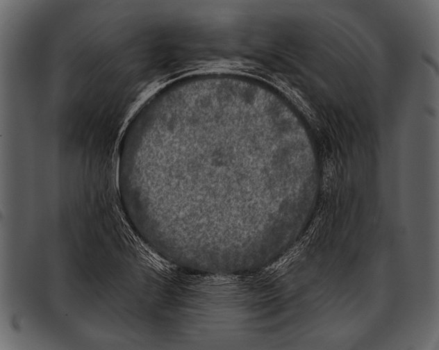 X0000097481224200803201502