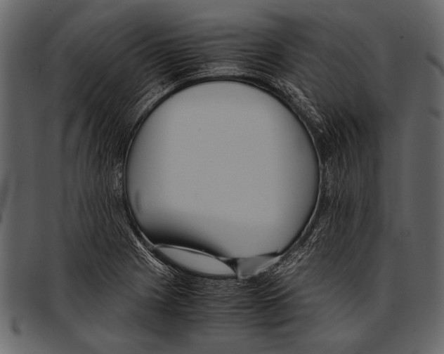 X0000097481225200803201502