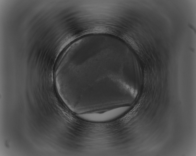 X0000097481226200803201502